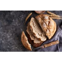 Backkurs Ludwigsburg – frisches aufgeschnittenes Brot