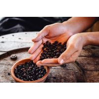 Geschenkgutschein Baristakurs – aromenreiche Bohnen