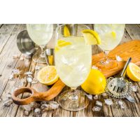 Gin-Tasting Stuttgart – Gin aus Südfrankreich