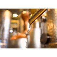 Gin-Tasting Stuttgart Heimatgin wie macht man Gin