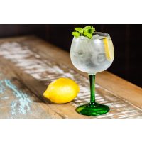 Gin-Tasting Stuttgart – Gin mit Zitrone