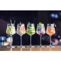 Gin-Tasting Stuttgart: verschiedene Gin Tonics