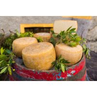 italienischer Kochkurs Stuttgart – Pecorino