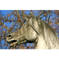 Betriebsausflug Stuttgart - Pferde Steinsatue im Park