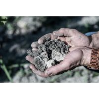 Weinprobe Stuttgart – Erde auf Weinberg