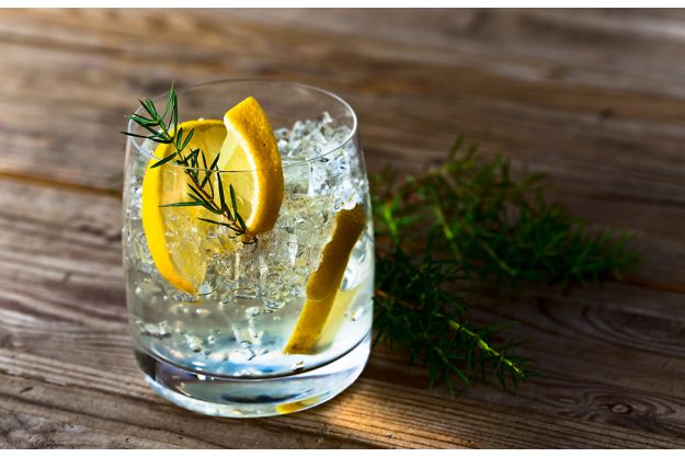 Cocktailkurs Berlin - Gin-Tonic mit Botanicals