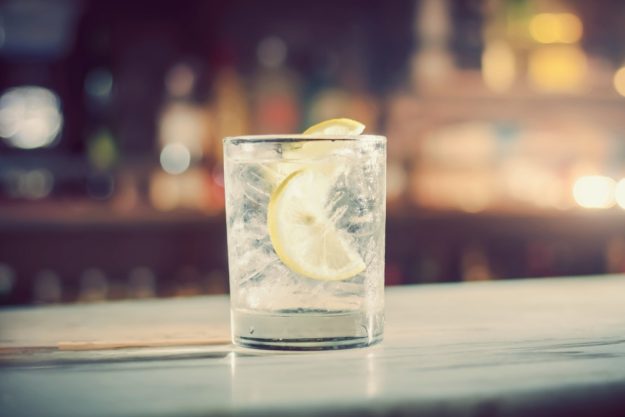 Gin-Tasting Berlin – fertiger Gin-Tonic mit Zitrone