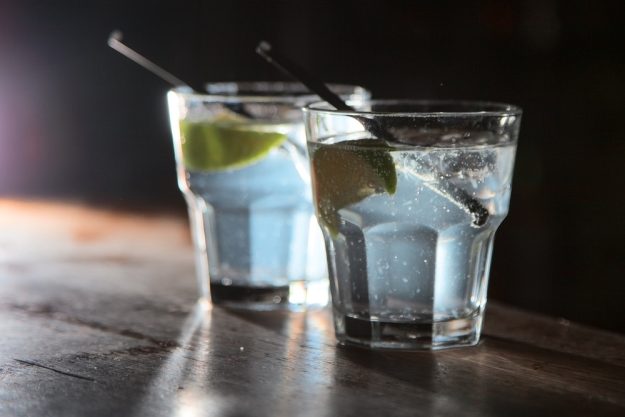 Gin-Tasting Berlin – Gin Tonic