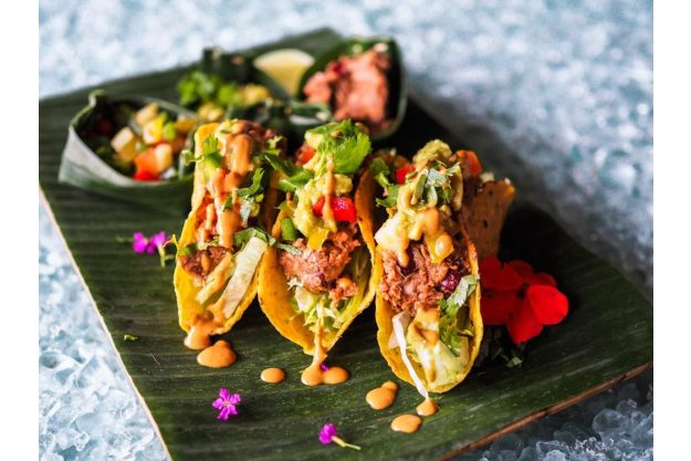 mexikanischer Kochkurs Berlin: vegane Tacos