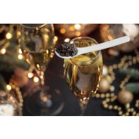 Champagner-Tasting Berlin Champagner und Kaviar deluxe