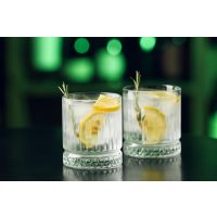 Gin-Tasting Berlin – Gin im Glas
