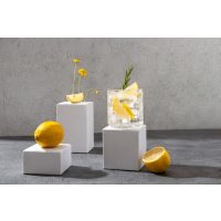 Gin-Tasting Berlin – Gin mit Zitrone