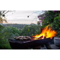 Afrikanischer Grillkurs Berlin: südafrikanisches Braai