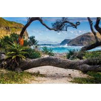 Afrikanischer Grillkurs Berlin: Küstenlandschaft in Südafrika