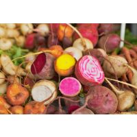 Regionaler Kochkurs Berlin – Wurzelgemüse-Vielfalt