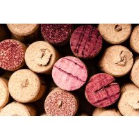 Teambuilding Berlin - Korken