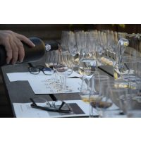 Weinseminar Berlin – willkommen zur Verkostung