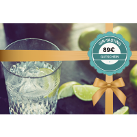 Gutschein Gin-Tasting – Gin mit frischen Limetten
