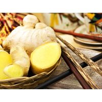 Betriebsausflug Hannover - Ingwer 