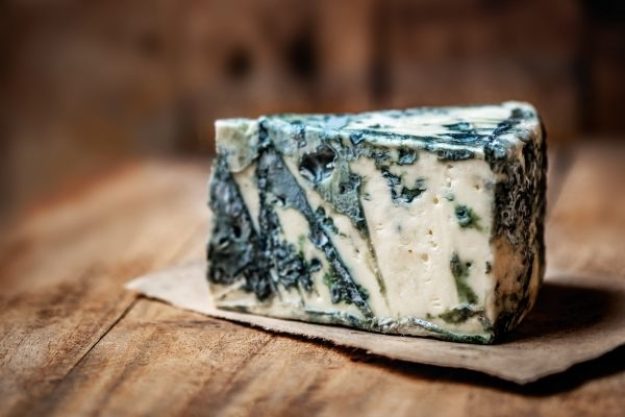 Käsetasting-at-Home-Gorgonzola