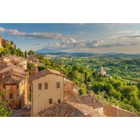 virtuelle Reise in die Toskana, Weinberge