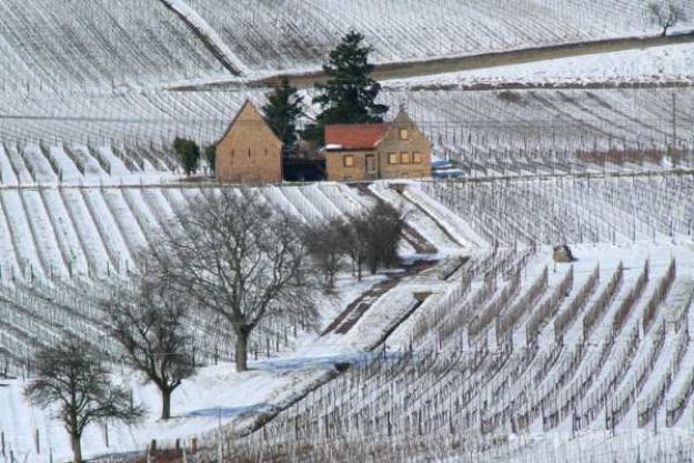 Weinwanderung online mit Essen der Winter