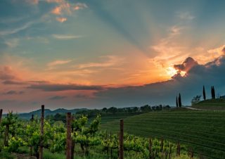 Virtuelle Reise Friaul Genussreise ins Friaul@Home für 2