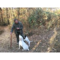 virtuelle Reise Piemont Trüffelsucher