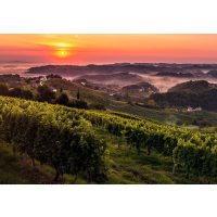 Online-Firmenfeier Genussreise Italien