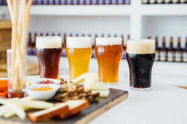 Bier- und Käse-Tasting Landshut: ein blumiges Bier mit Käse und Brot