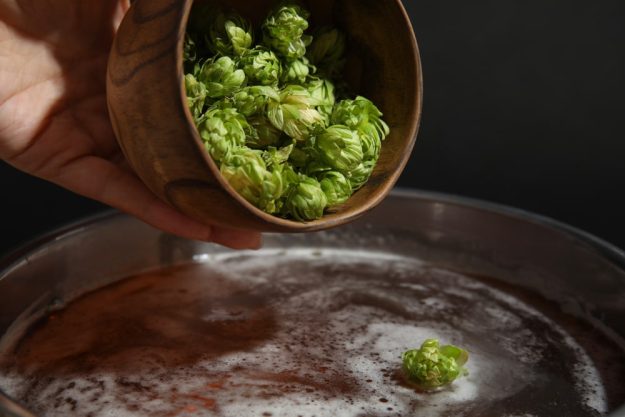 Braukurs Landshut – Zeit für die Hopfengabe