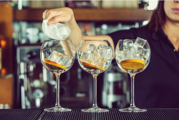 Gin-Tasting in Regensburg - Gin Botanicals