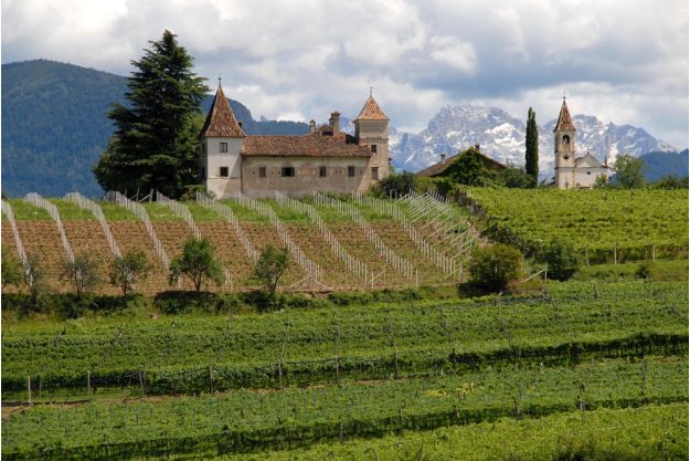 virtuelle Reise Südtirol Weinberge