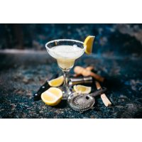 Cocktailkurs Regensburg - Sours