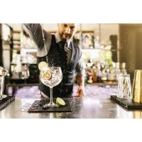 JGA mit Cocktailkurs - Barkeeper