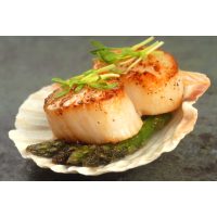 Kochkurs Landshut – Jakobsmuschel