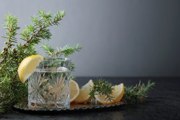 Virtuelle Brennereiführung mit Gin-Tasting zu Hause – Berliner Gin
