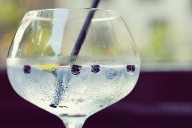 Gin-Tasting-Gutschein – Bombay Gin mit Wacholderbeeren