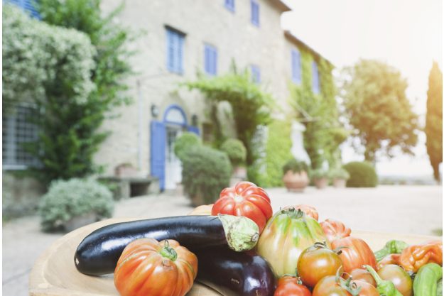 mediterraner Kochkurs Dresden – Gemüseauswahl