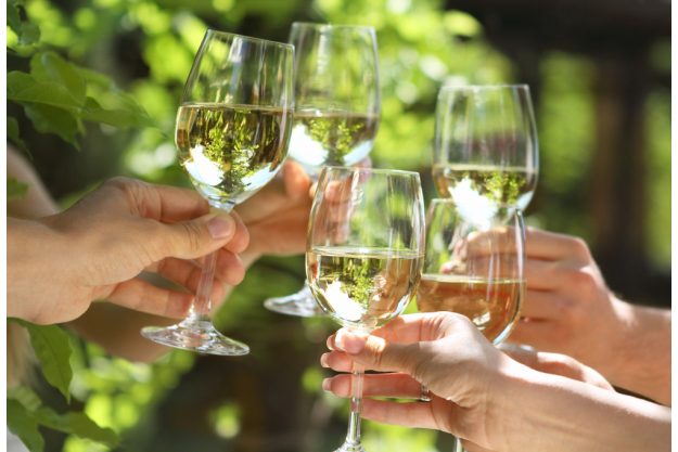 Weinprobe in Radebeul – Anstoßen mit Weißwein