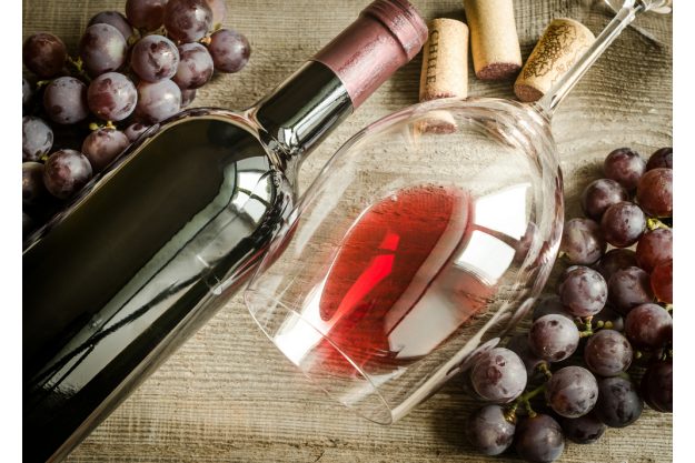 Weinprobe in Radebeul – Rotwein mit Trauben