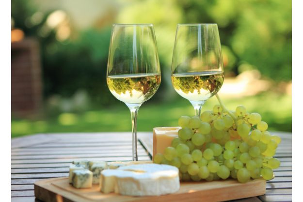 Weinprobe in Radebeul – Weißwein mit Trauben