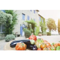 mediterraner Kochkurs Dresden – Gemüseauswahl