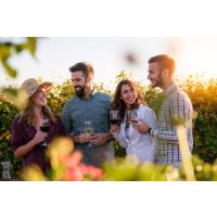 Weinprobe in Radebeul – Weingläser mit Weinflaschen