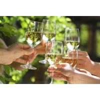 Weinprobe in Radebeul – Anstoßen mit Weißwein