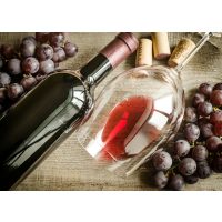 Weinprobe in Radebeul – Rotwein mit Trauben