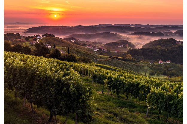 Online-Firmenfeier Genussreise Italien