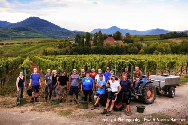 Weinwanderung online Arbeiter im Weinberg