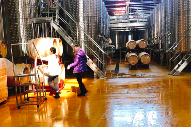 digitales Event Weinreise China Weinhalle