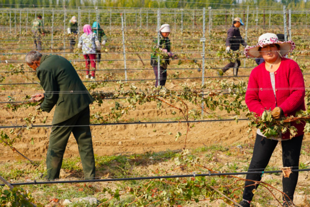 digitales Event Weinreise China gutes chinesisches Essen mit Wein